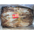 New Frozen dried illex squid hot sale in Thailand